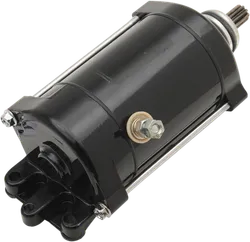 Rick's Electric Starter Motor