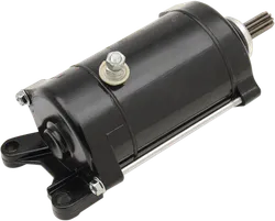 Rick's Electric Starter Motor