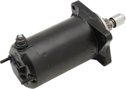 Rick's Electric Starter Motor