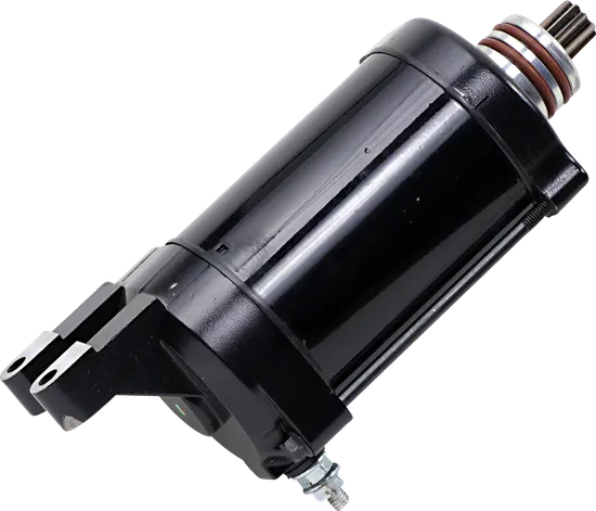 Rick's Electric Starter Motor