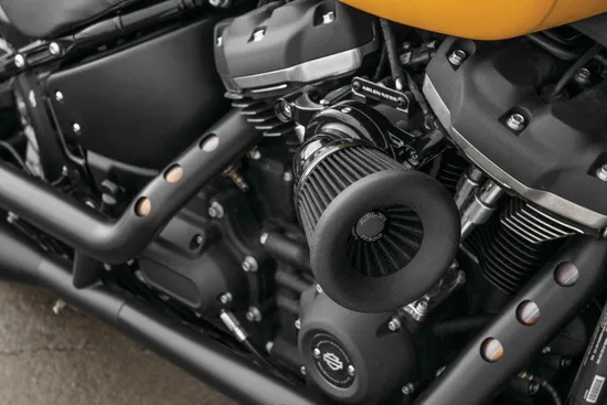 Arlen Ness Velocity 65 Degree Air Cleaner Filter Kit Black