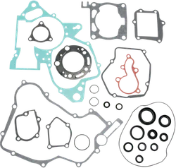 Moose Complete Engine Rebuild Gasket Kit with Oil Seals
