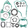 Vertex Complete Engine Rebuild Gasket Kit with Oil Seals