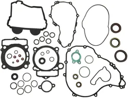 Moose Complete Engine Rebuild Gasket Kit with Oil Seals