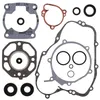 Vertex Complete Engine Rebuild Gasket Kit with Oil Seals