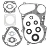 Vertex Complete Gasket Set with Oil Seals for