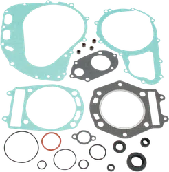 Moose Engine Rebuild Gasket Kit W Oil Seals