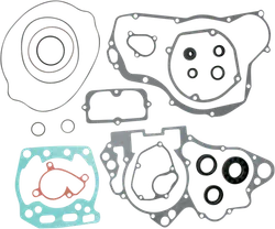 Moose Complete Engine Rebuild Gasket Kit with Oil Seals