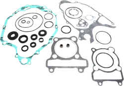 Moose Complete Engine Rebuild Gasket Kit with Oil Seals