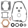 Vertex Complete Engine Rebuild Gasket Kit with Oil Seals