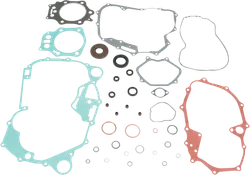 Moose Engine Rebuild Gasket Kit W Oil Seals