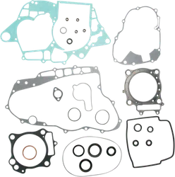 Moose Engine Rebuild Gasket Kit W Oil Seals