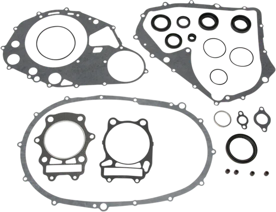 Moose Engine Rebuild Gasket Kit W Oil Seals