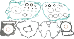 Moose Engine Rebuild Gasket Kit W Oil Seals