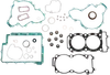 Complete Motor Gasket Kit with Seals - Polaris