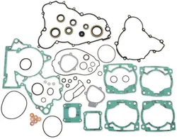 Moose Complete Engine Rebuild Gasket Kit with Oil Seals