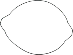 Moose Racing Clutch Cover Gasket