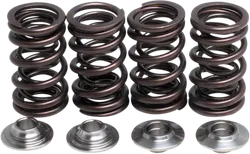 KibbleWhite Racing Exhaust Intake Valve Spring Kit