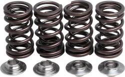 KibbleWhite Racing Exhaust Intake Valve Spring Kit