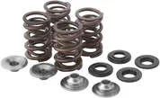 KibbleWhite Racing Exhaust Intake Valve Spring Kit