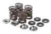 KibbleWhite Racing Exhaust Intake Valve Spring Kit