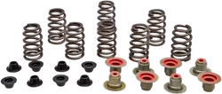 Kibblewhite  Intake Exhaust Valve Spring Kit