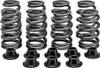 Kibblewhite  Intake Exhaust Valve Spring Kit