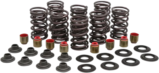 Kibblewhite  Racing Exhaust Intake Valve Spring Kit .450in Lift 1