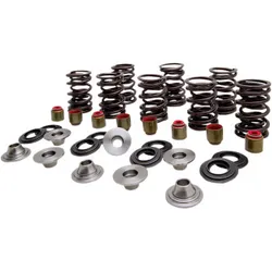 Kibblewhite  Titanium  Intake Exhaust Valve Spring Kit