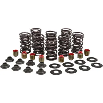 Kibblewhite  Intake Exhaust Valve Spring Kit .450in Lift