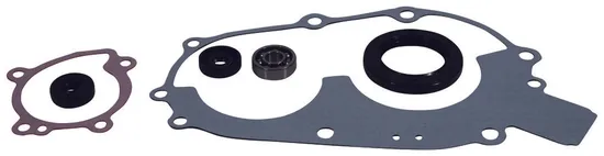 Vertex Water Pump Rebuild Kit