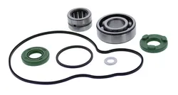 Vertex Water Pump Rebuild Repair kit