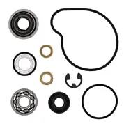 Vertex Water Pump Rebuild Repair kit