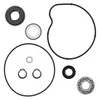 Vertex Water Pump Rebuild Repair kit