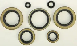 Vertex Oil Seal Kit