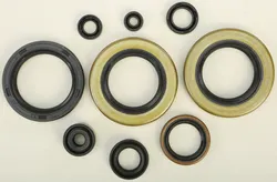 Vertex Oil Seal Kit