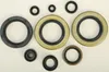 Vertex Oil Seal Kit