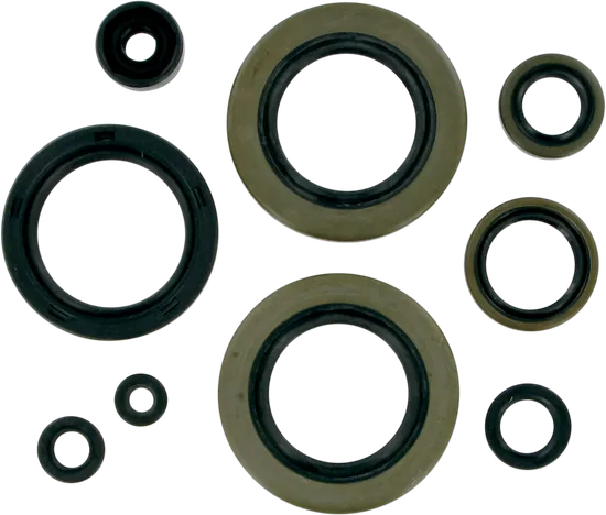 Moose Engine Oil Seal Kit
