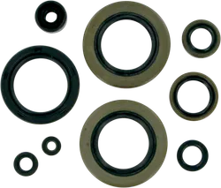 Moose Engine Oil Seal Kit