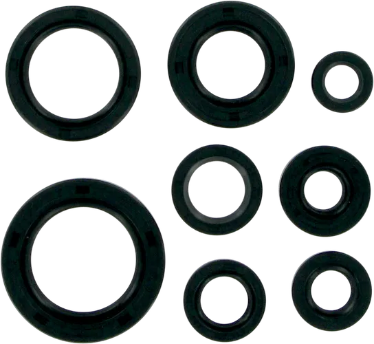 Moose Engine Oil Seal Kit