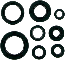 Moose Engine Oil Seal Kit