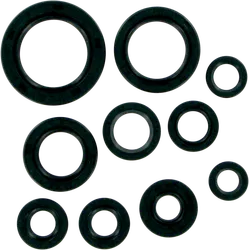 Moose Engine Oil Seal Kit