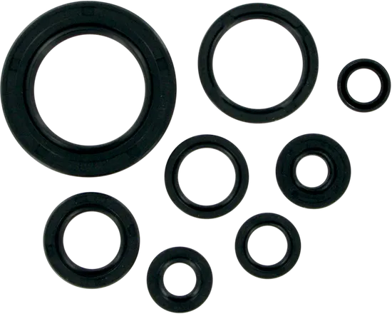 Moose Engine Oil Seal Kit