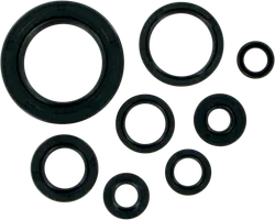 Moose Engine Oil Seal Kit