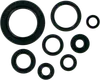 Moose Engine Oil Seal Kit