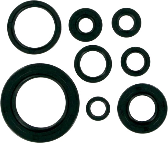 Moose Engine Oil Seal Kit