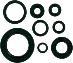 Moose Engine Oil Seal Kit