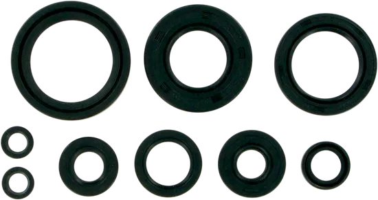 Moose Engine Oil Seal Kit