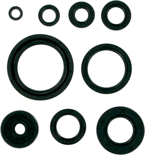 Moose Engine Oil Seal Kit