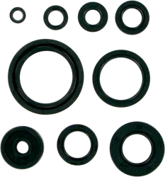 Moose Engine Oil Seal Kit